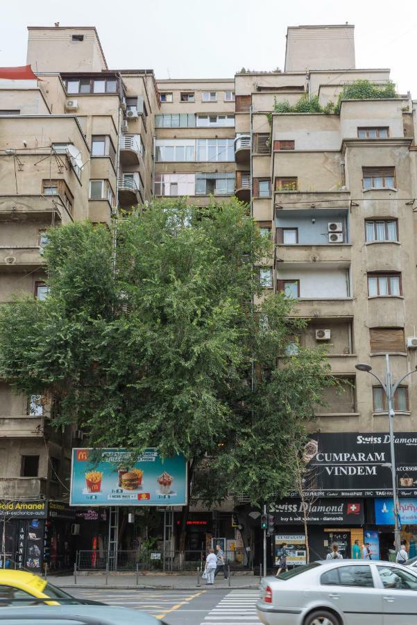 Petite Maison Sur Le Boulevard Bucareste Exterior foto